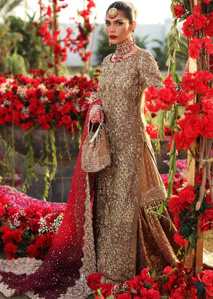 FITOOR | HB |