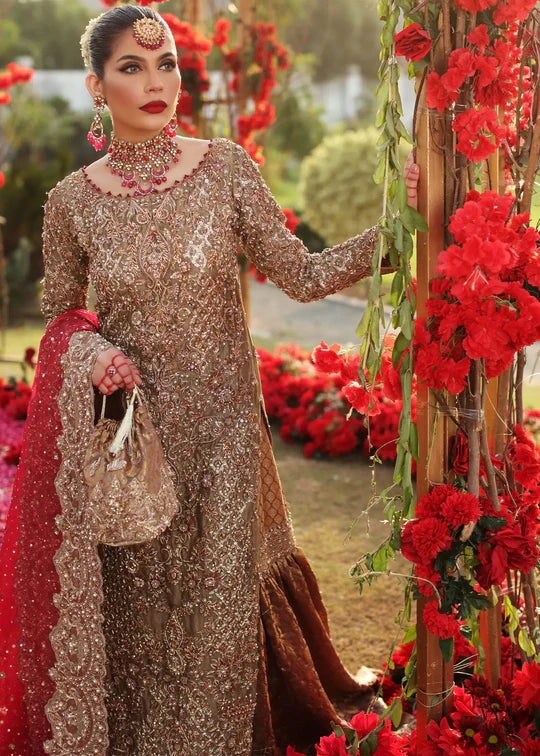 FITOOR | HB |