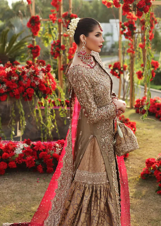 FITOOR | HB |