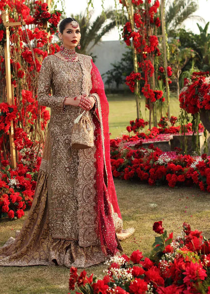 FITOOR | HB |