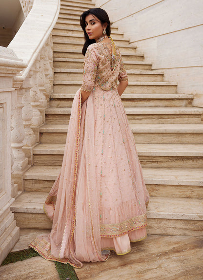 NAZNEED PEACH KALIDAAR