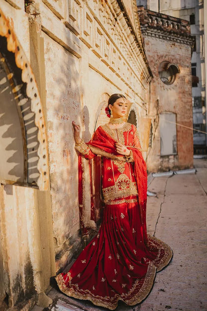 Farshi Gharara Dress